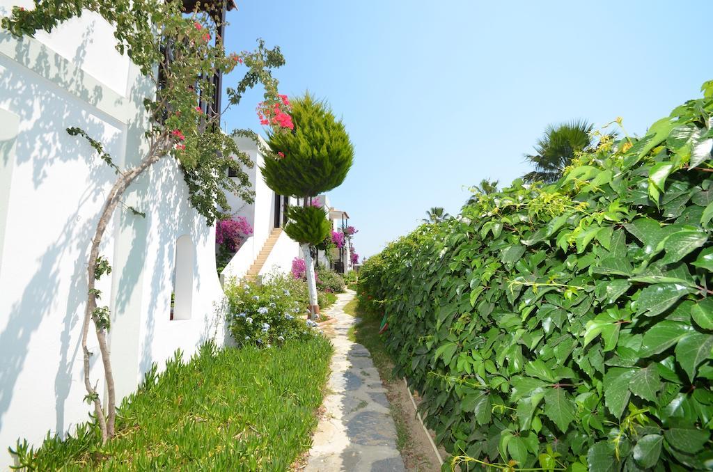 Salinas Beach Hotel Bodrum-Boutique Concept Gümbet Exterior foto
